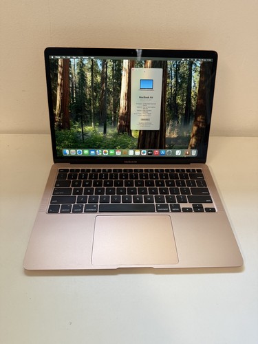 Apple macbook air 2020 - apple,