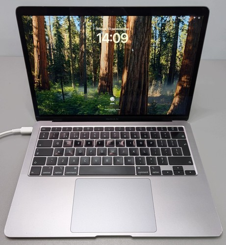 Apple macbook air a2179 - apple, 13,3"